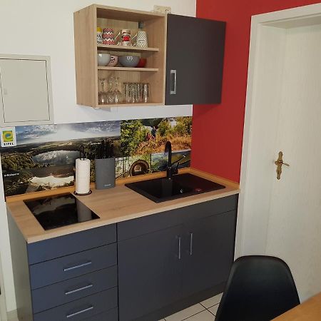 Zimmerappartement "Rose" - Ferienwohnungen Wagner & Gaul Daleiden Εξωτερικό φωτογραφία